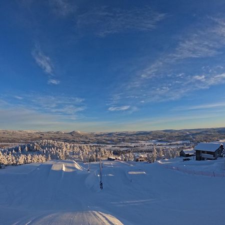 Toppvillan - Ski In - Ski Out - 200 M Till Toppen Och Cykelleder Järvsö Esterno foto